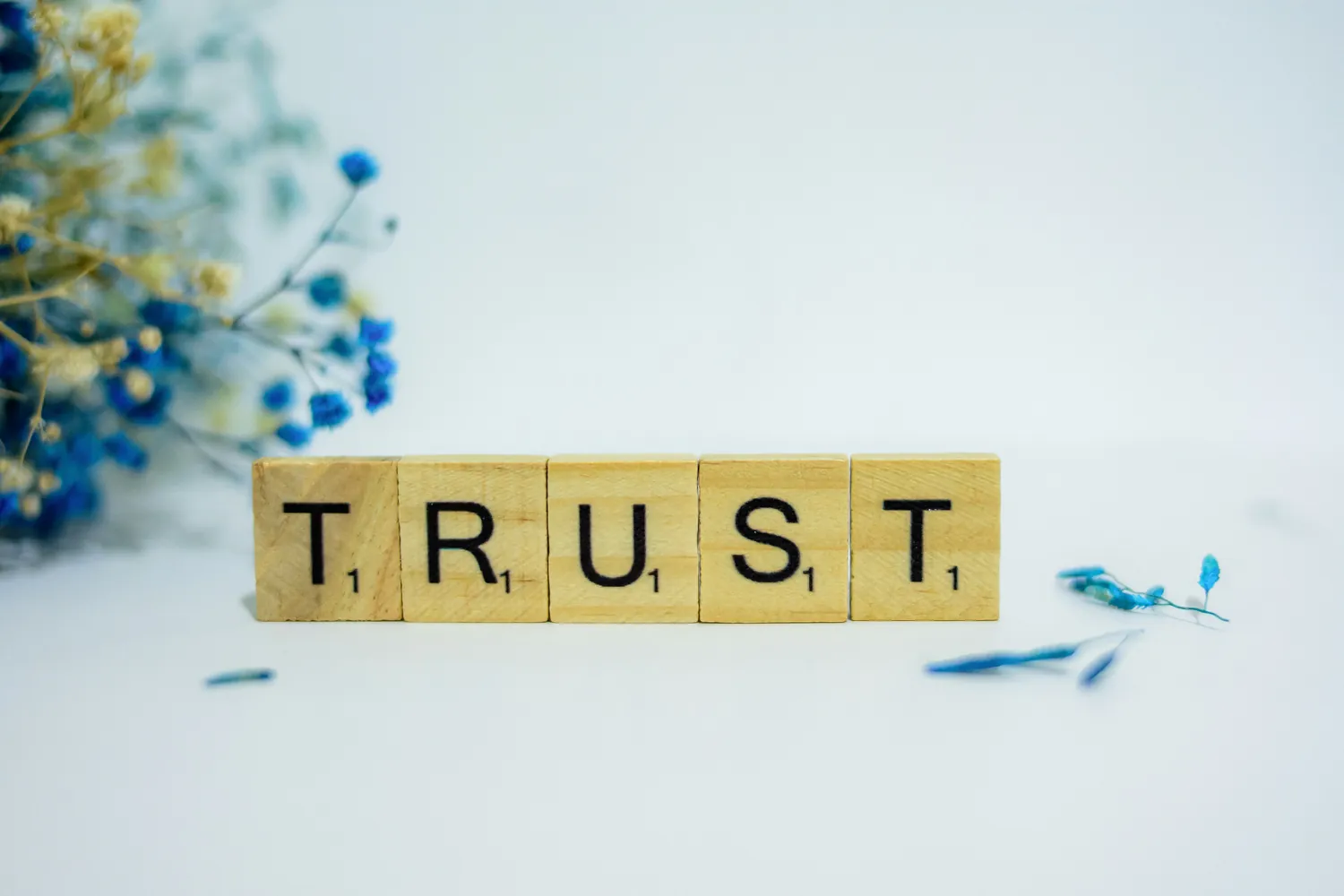 A Guide to Establishing Trust Through an Authentic Brand Story