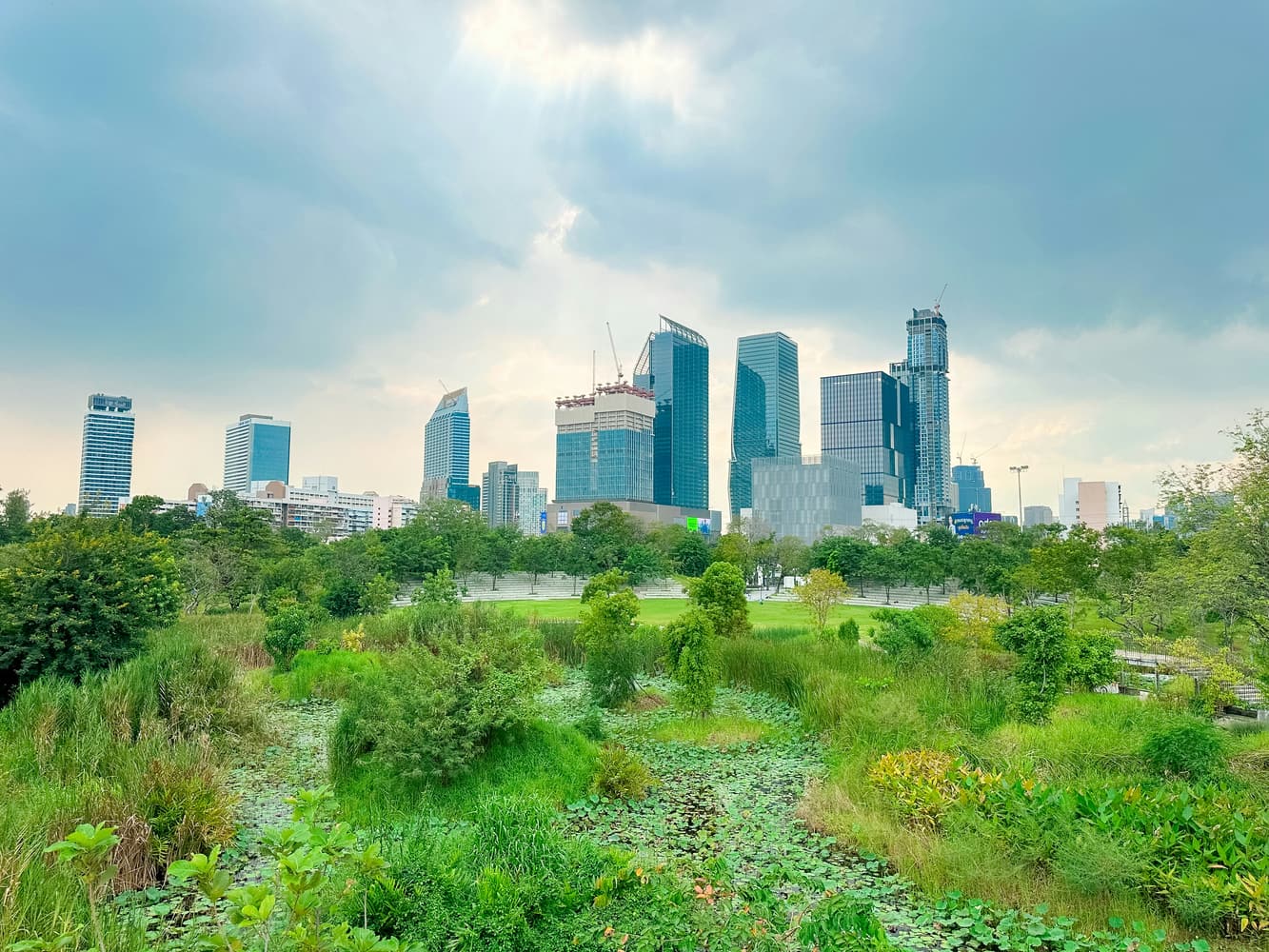 Creative Solutions for Enhancing Biodiversity in City Environments