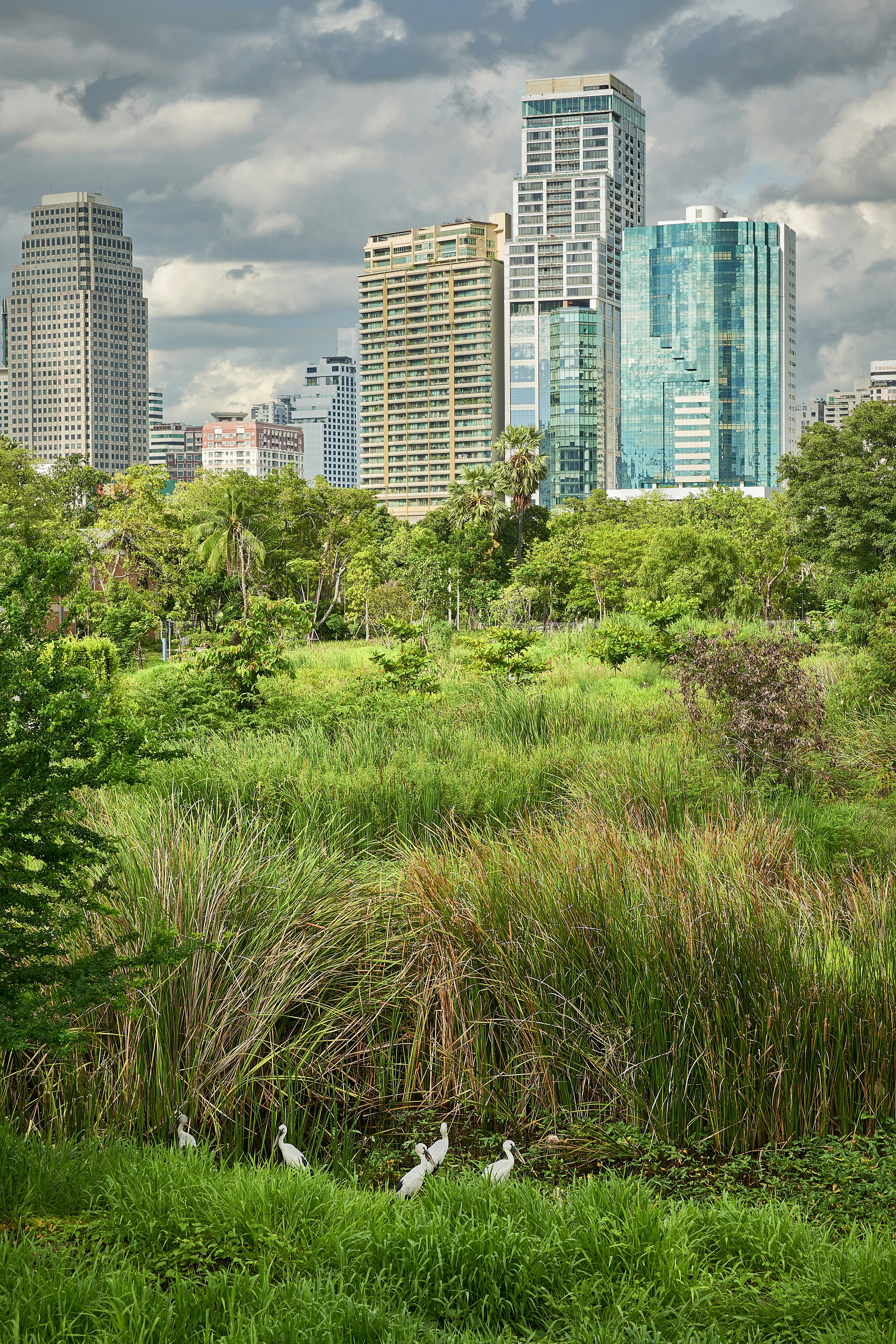 Innovative Approaches to Enhancing Biodiversity in City Landscapes
